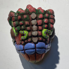 Load image into Gallery viewer, Galapagos Marine Iguana Masks (14)
