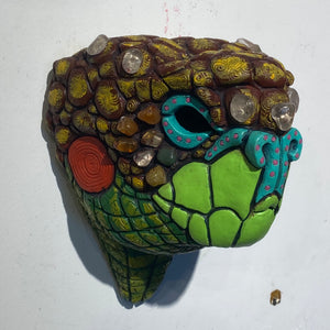 Galapagos Land Tortoise Masks (18)