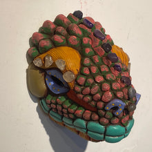 Load image into Gallery viewer, Galapagos Land Iguana Masks (22)