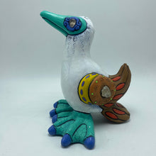 Load image into Gallery viewer, Galapagos Blue-footed Booby (30)