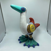 Load image into Gallery viewer, Galapagos Blue-footed Booby (33)