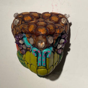Galapagos Land Tortoise Masks (12)