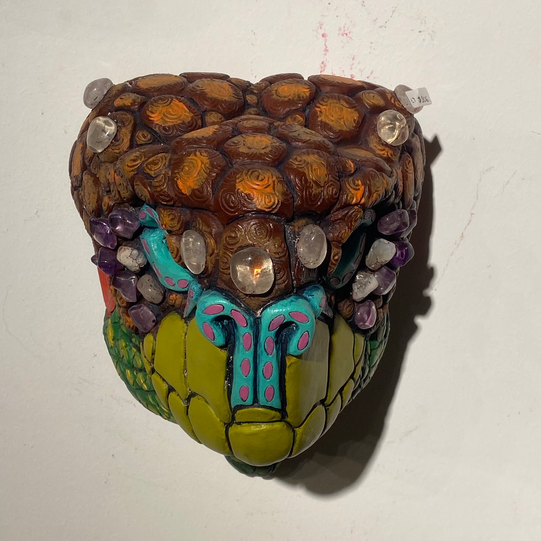 Galapagos Land Tortoise Masks (12)