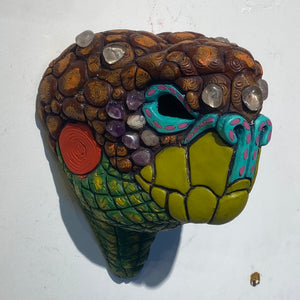 Galapagos Land Tortoise Masks (12)