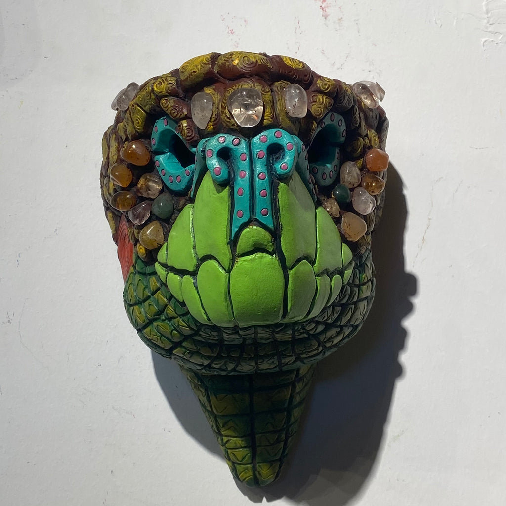Galapagos Land Tortoise Masks (18)