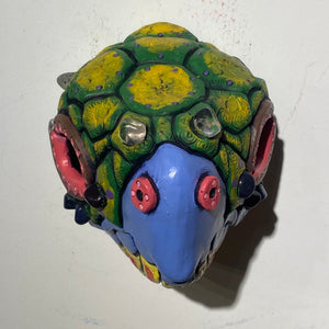 Galapagos Marine Tortoise Masks (20)