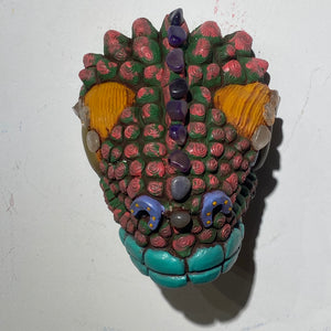 Galapagos Land Iguana Masks (22)
