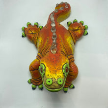 Load image into Gallery viewer, Galapagos Land Iguana (24)
