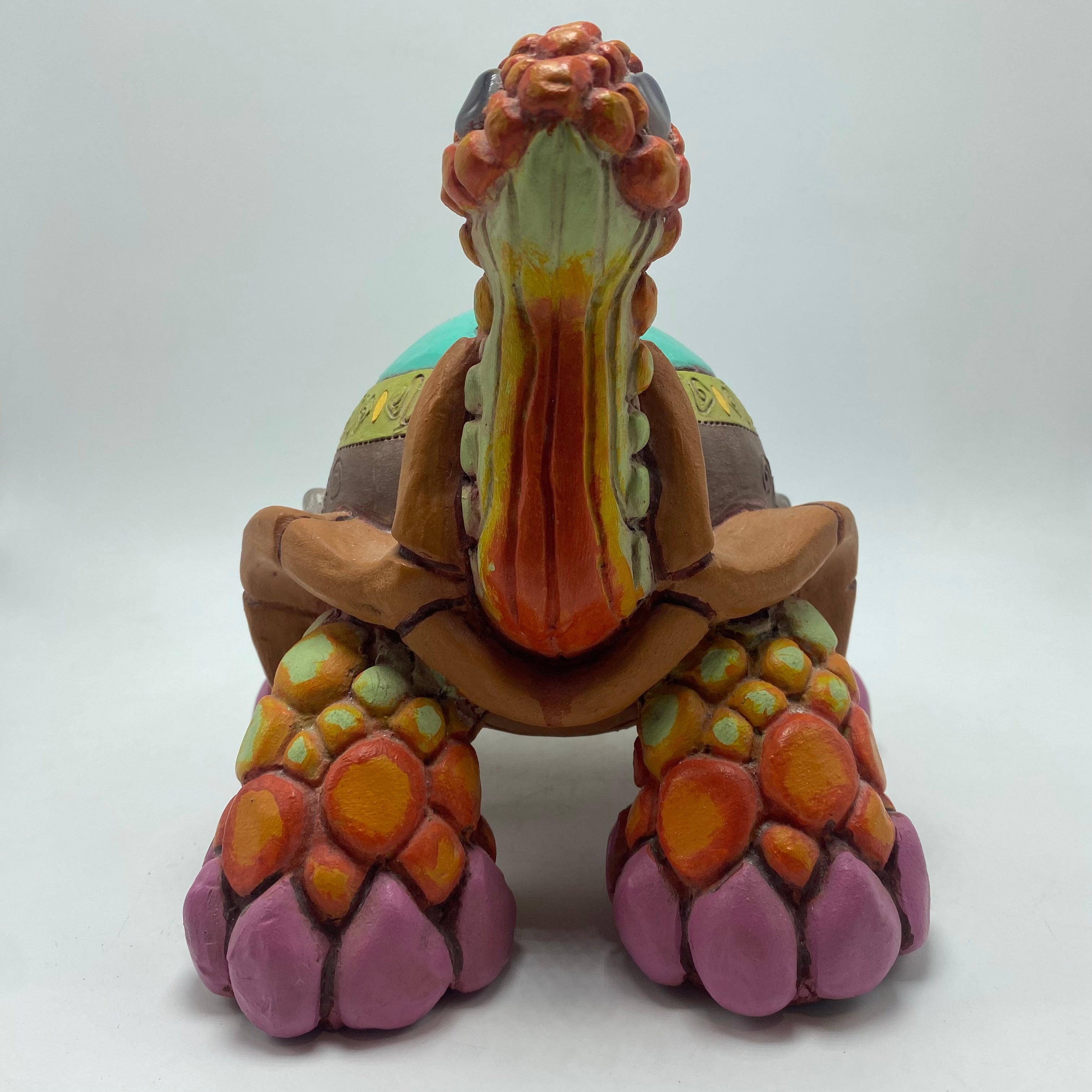 Galapagos Tortoise (25)