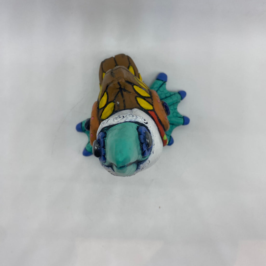 Galapagos Blue-footed Booby (31)