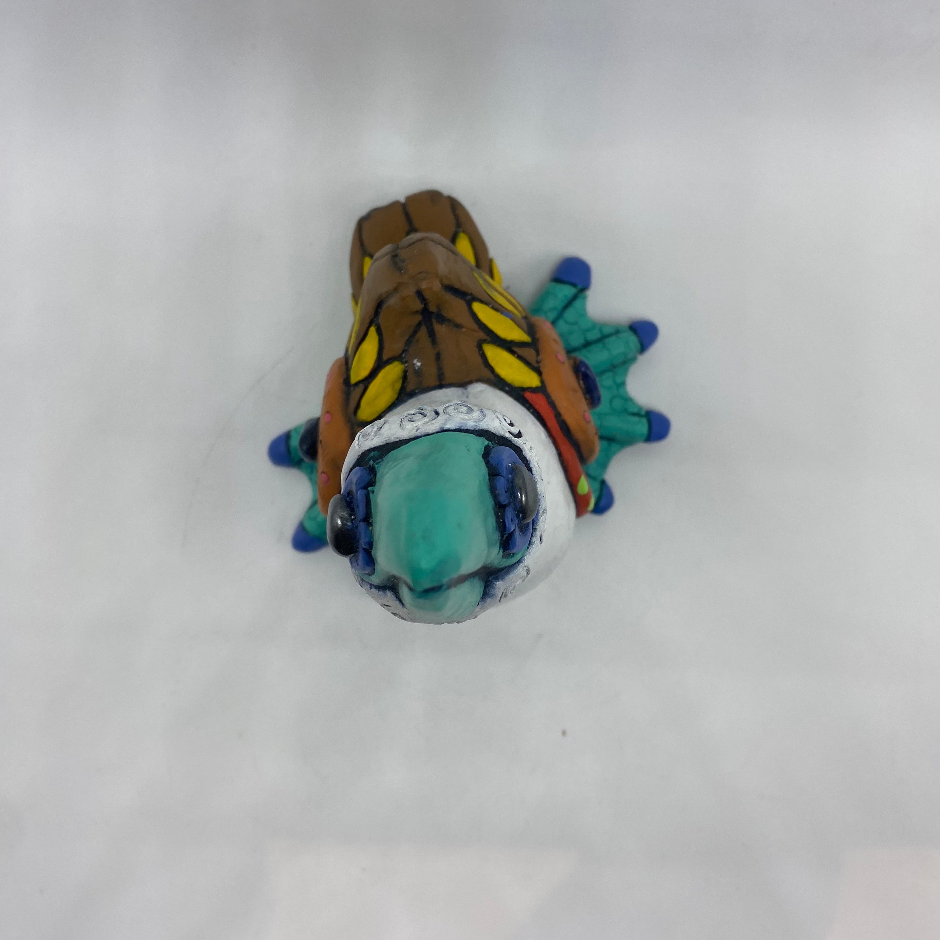 Galapagos Blue-footed Booby (31)