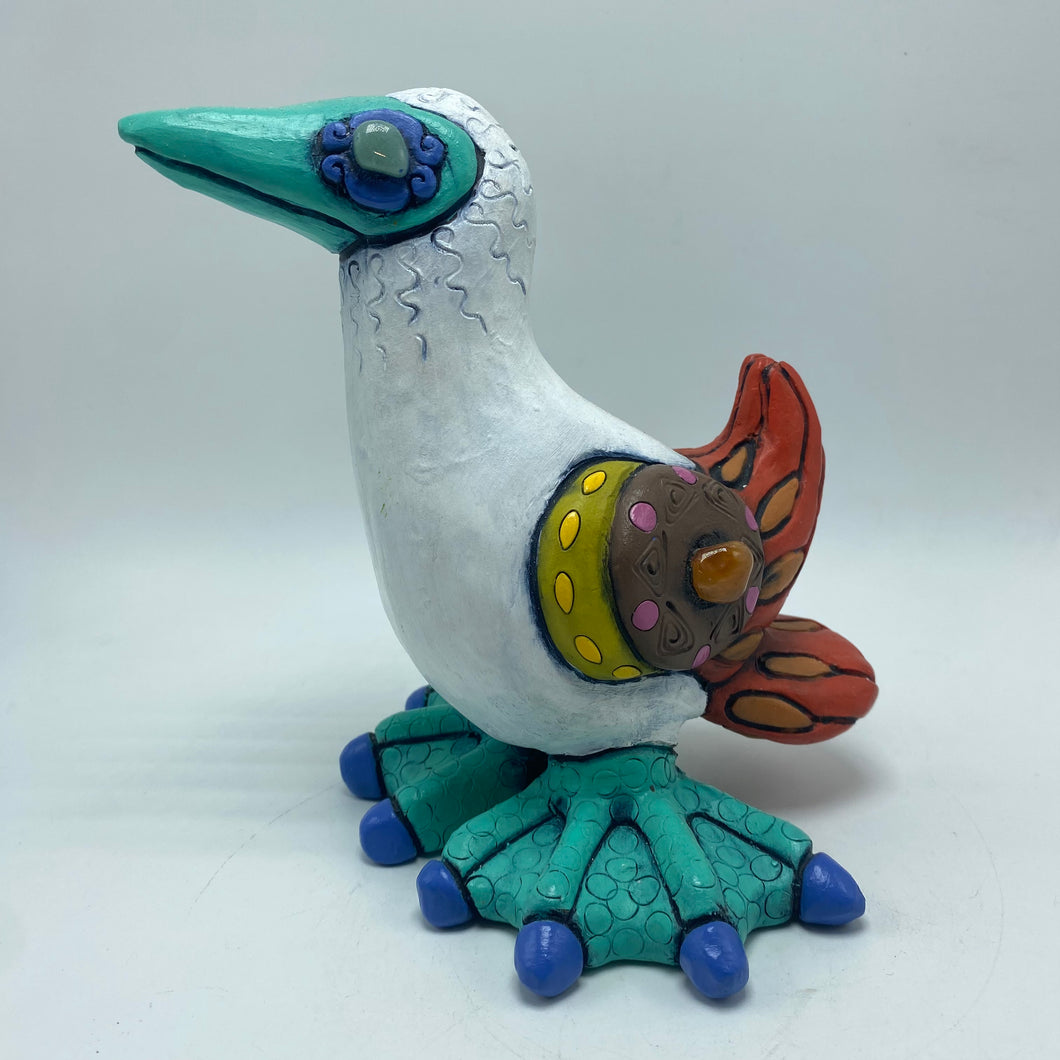 Galapagos Blue-footed Booby (32)