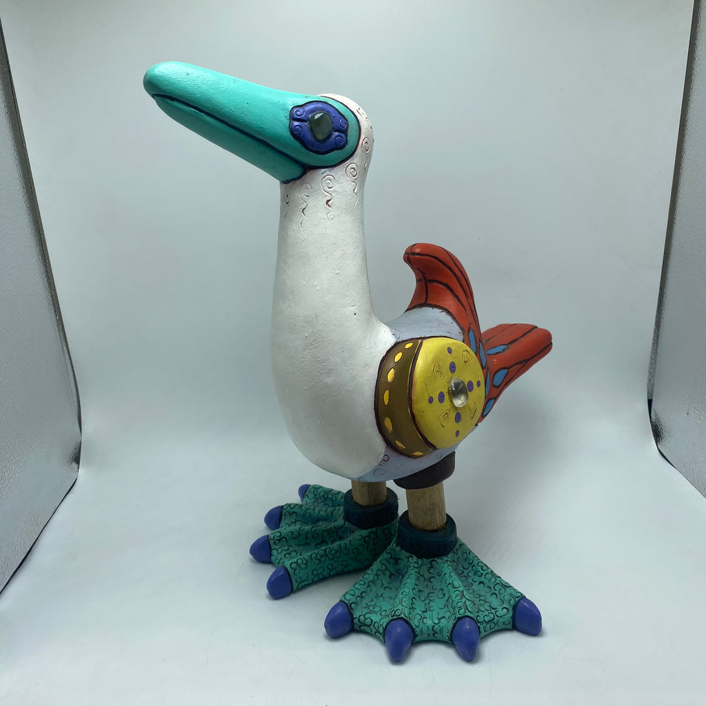 Galapagos Blue-footed Booby (33)