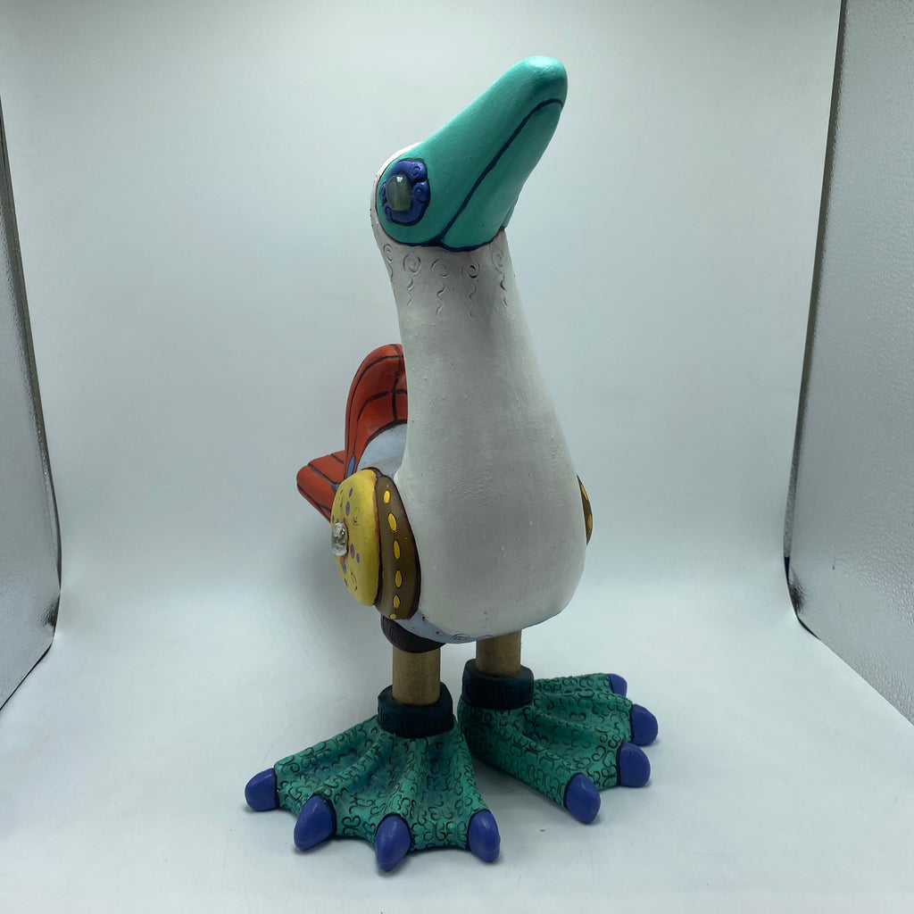 Galapagos Blue-footed Booby (33)