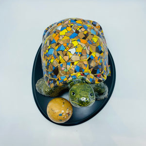 Galápagos Tortoise Ceramic 5