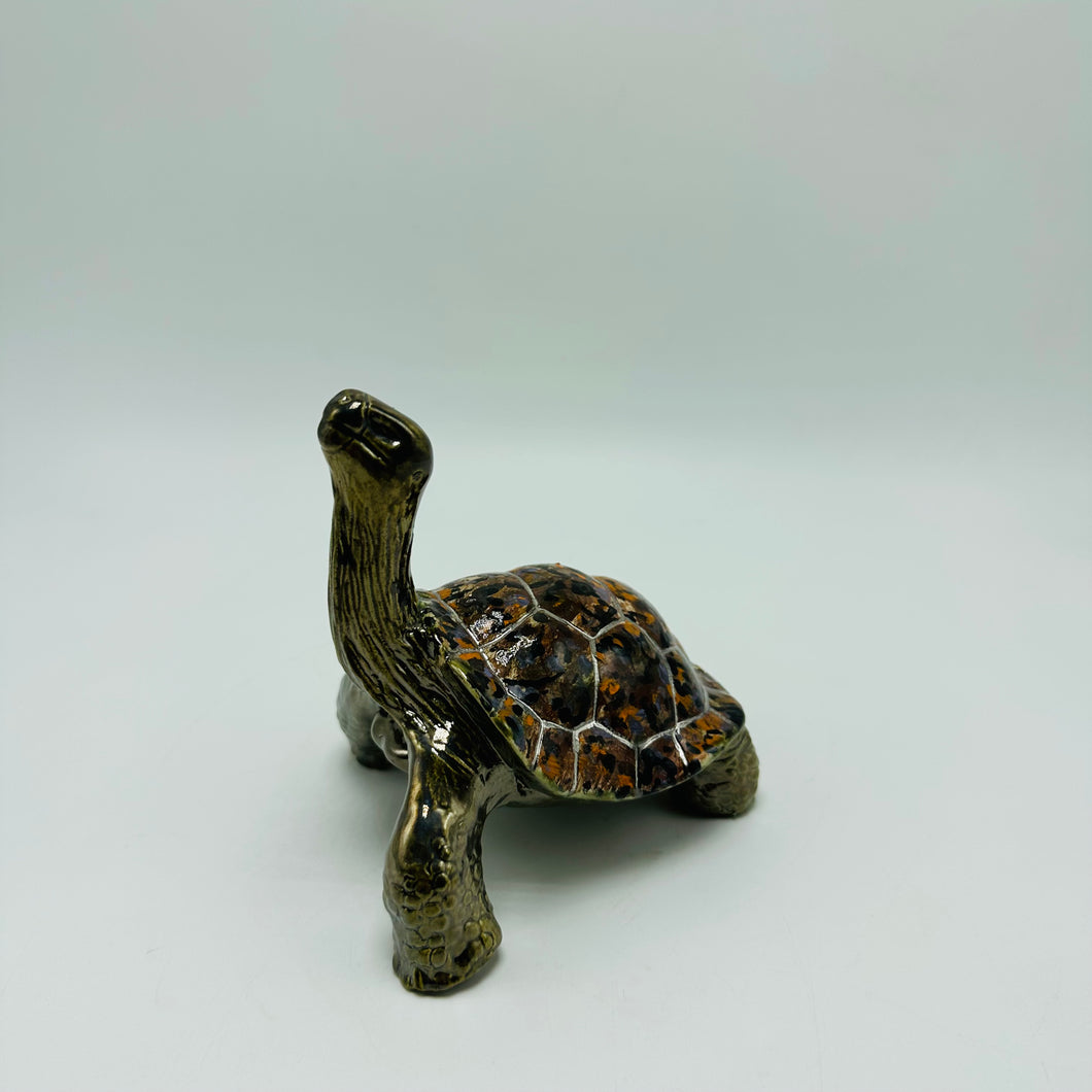 Galápagos Tortoise Ceramic Figure 2