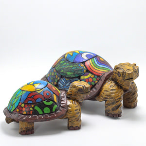 Galapagos Tortoises